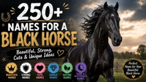 250+ names for a black horse with beautiful, strong, cute, and unique ideas